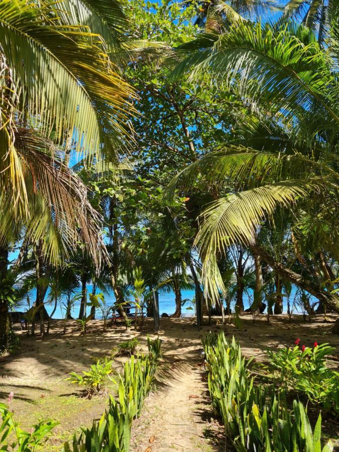 Drago Beach House - Private Beach Boca del Drago Extérieur photo
