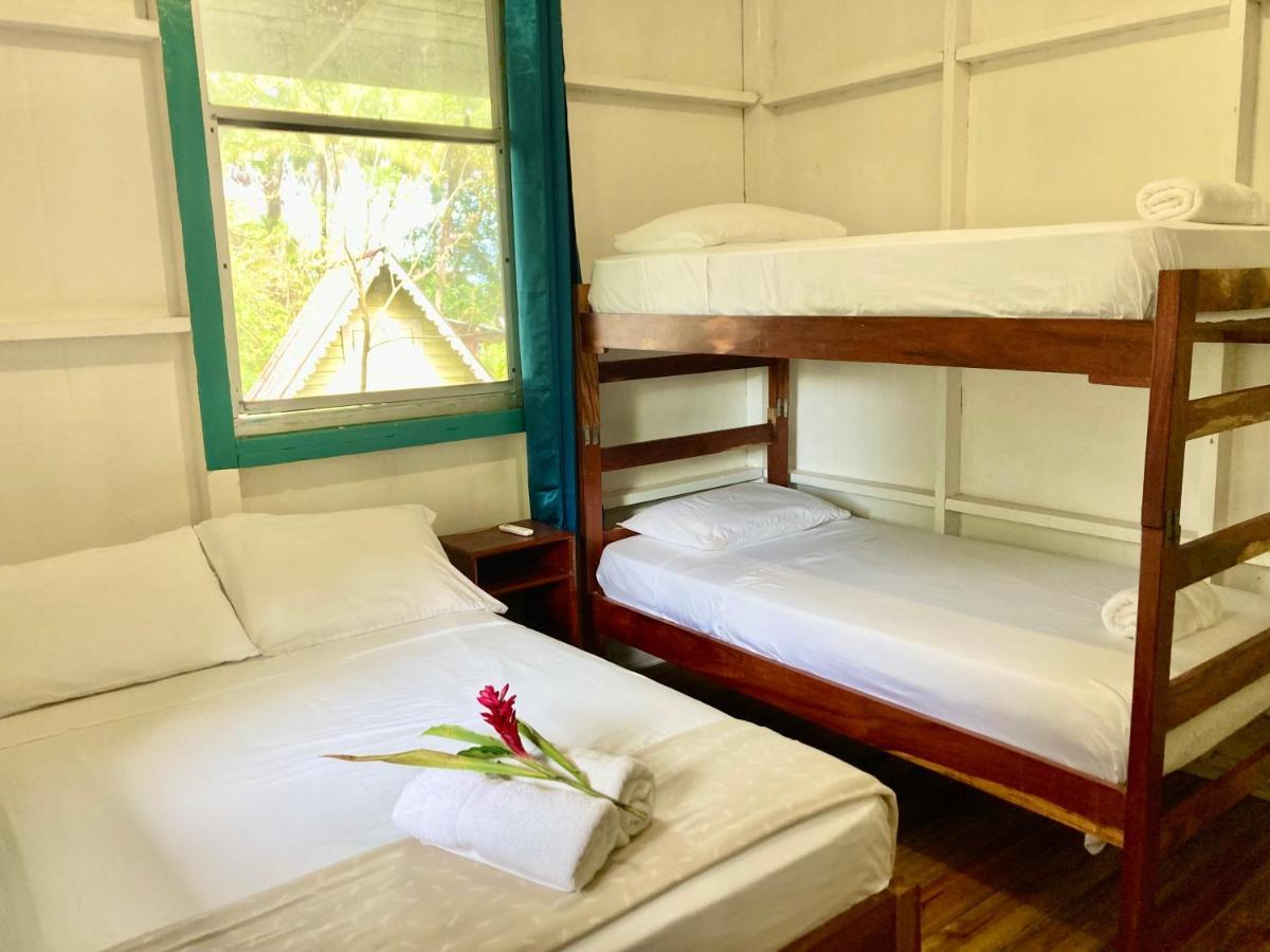 Drago Beach House - Private Beach Boca del Drago Extérieur photo