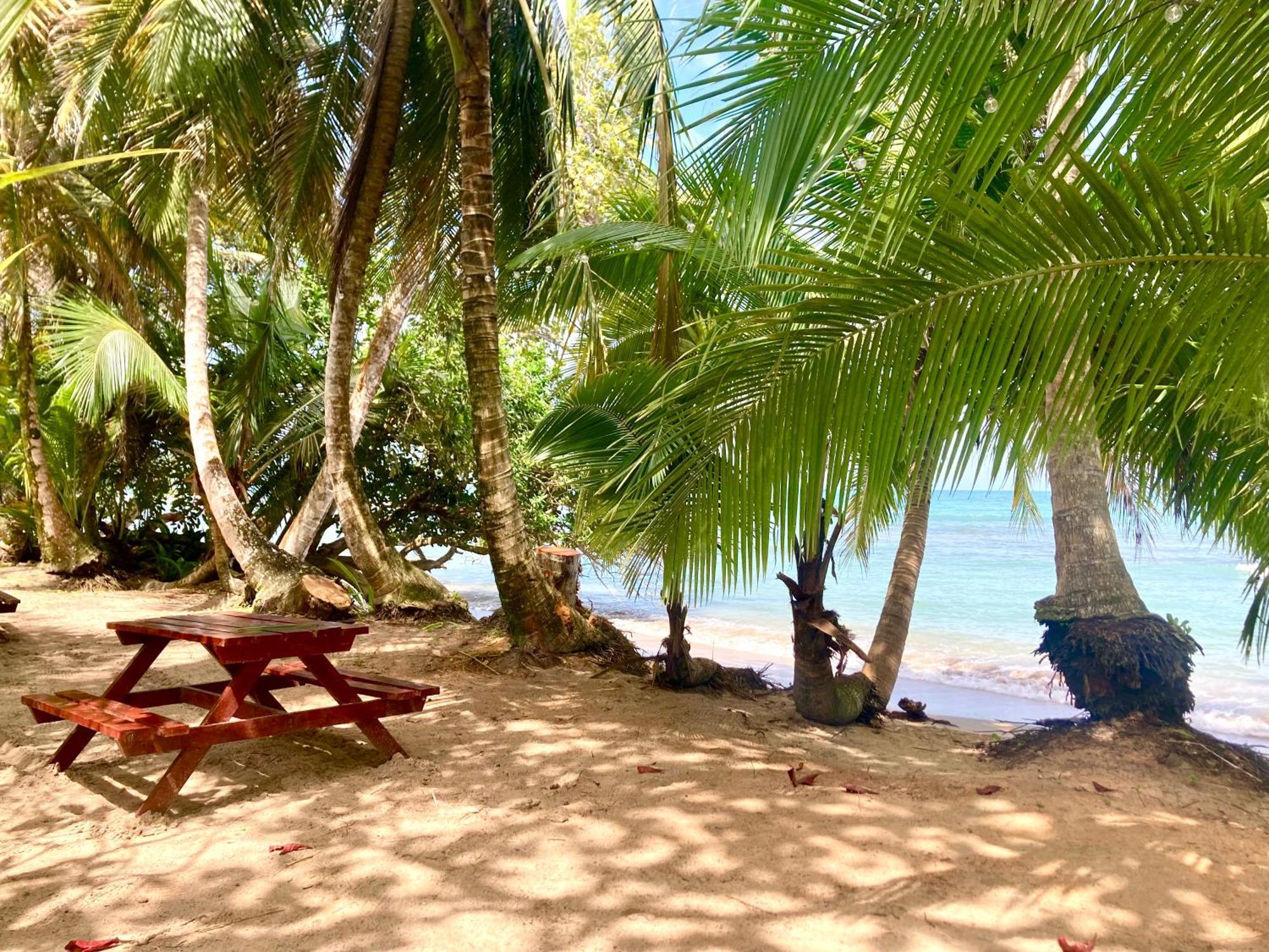 Drago Beach House - Private Beach Boca del Drago Extérieur photo