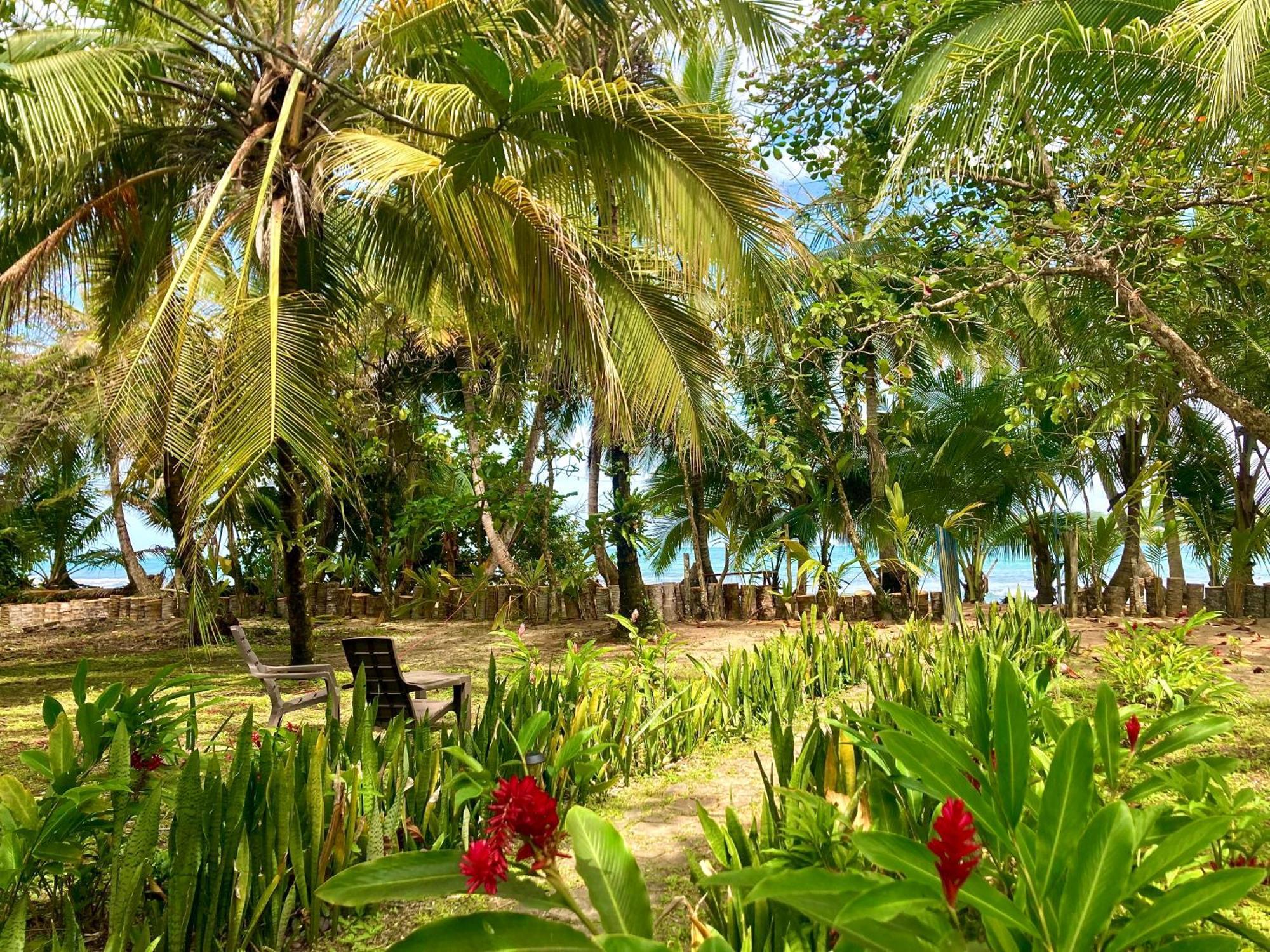 Drago Beach House - Private Beach Boca del Drago Extérieur photo