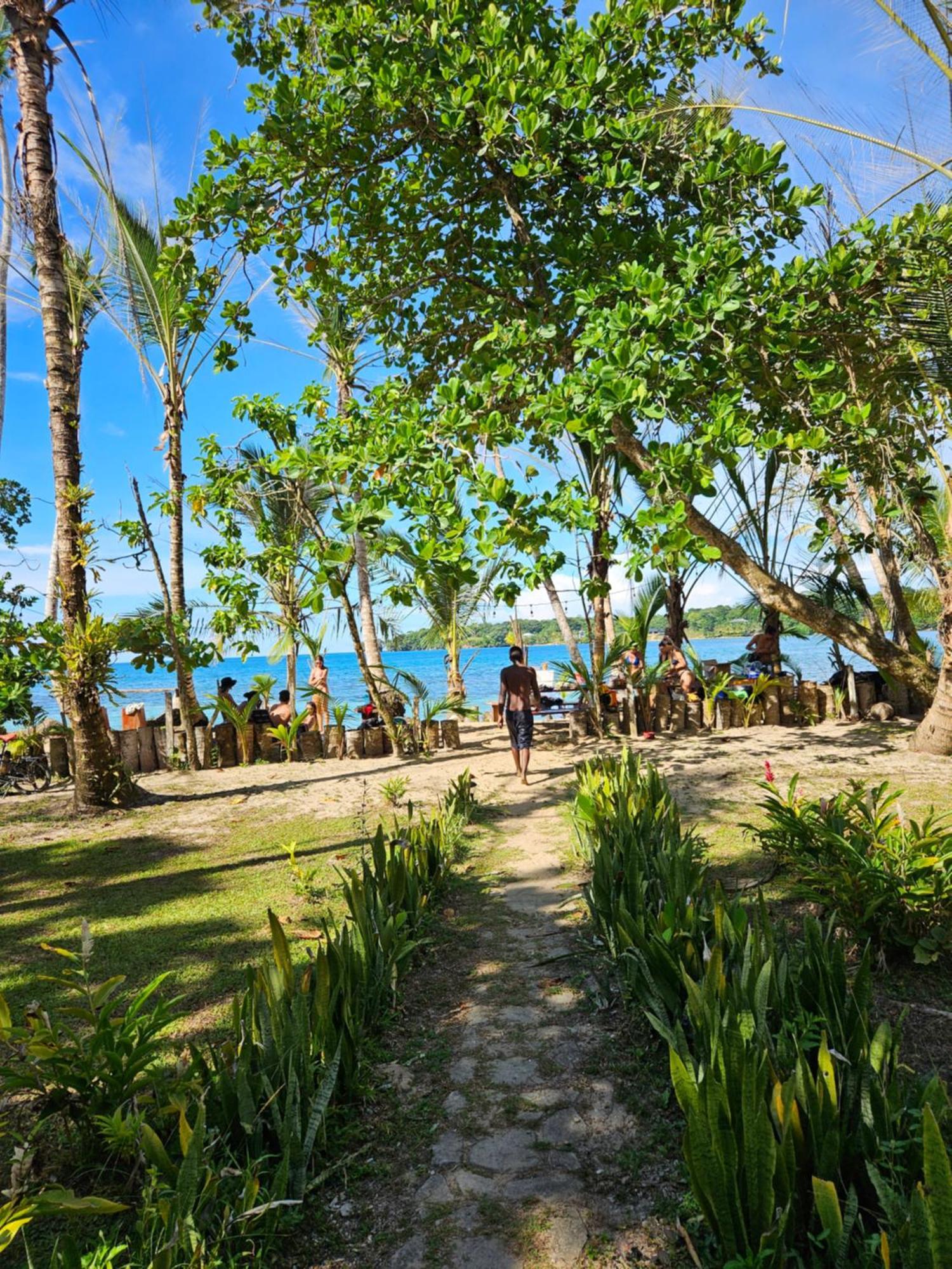 Drago Beach House - Private Beach Boca del Drago Extérieur photo