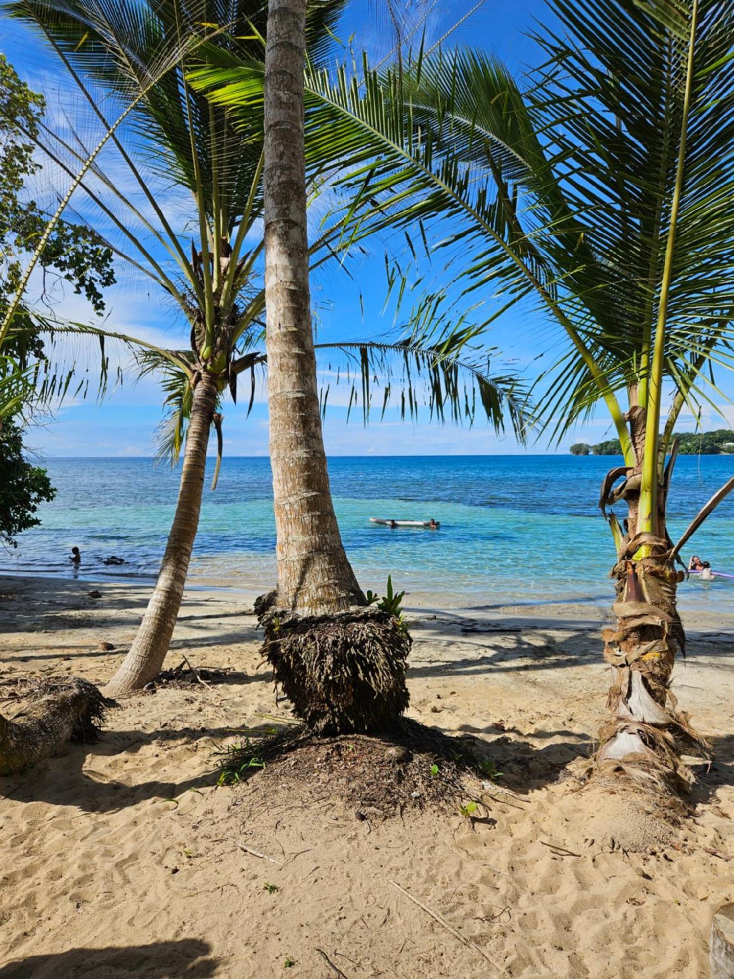 Drago Beach House - Private Beach Boca del Drago Extérieur photo